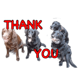 candy family sticker #13732137