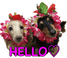 candy family sticker #13732138