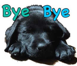 candy family sticker #13732140