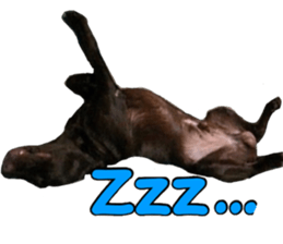 candy family sticker #13732141