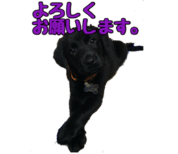 candy family sticker #13732142