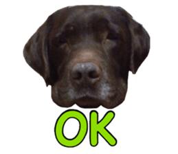 candy family sticker #13732143