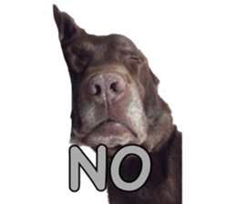 candy family sticker #13732144