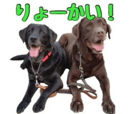 candy family sticker #13732145