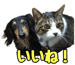 candy family sticker #13732146