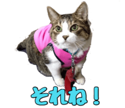 candy family sticker #13732147