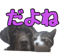 candy family sticker #13732148