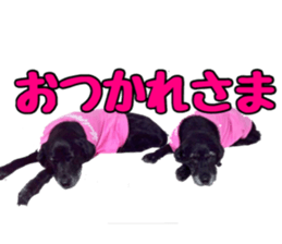 candy family sticker #13732149