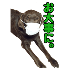 candy family sticker #13732150