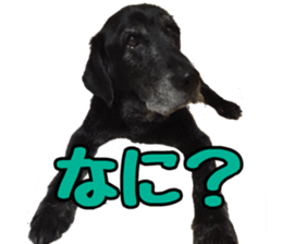 candy family sticker #13732152