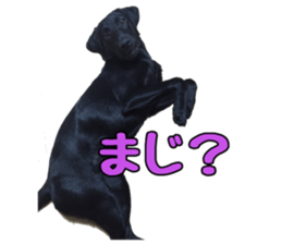 candy family sticker #13732153