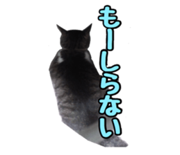 candy family sticker #13732155