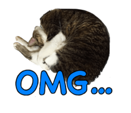 candy family sticker #13732156