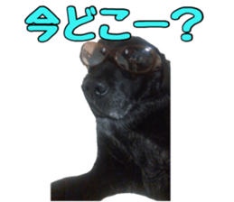 candy family sticker #13732158