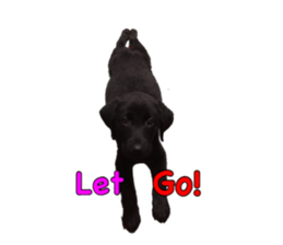 candy family sticker #13732159