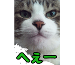 candy family sticker #13732160