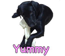 candy family sticker #13732161