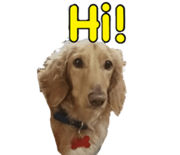 candy family sticker #13732162