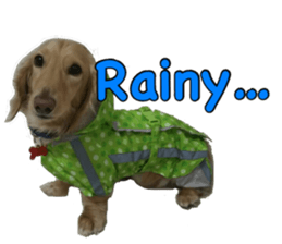 candy family sticker #13732163