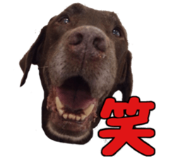 candy family sticker #13732164