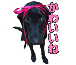 candy family sticker #13732165