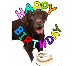 candy family sticker #13732166