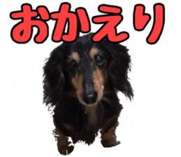 candy family sticker #13732167