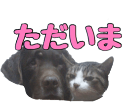 candy family sticker #13732168