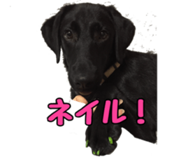 candy family sticker #13732171