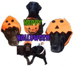 candy family sticker #13732172