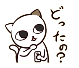 A Cynical Cat, Sayo sticker #13732384
