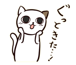 A Cynical Cat, Sayo sticker #13732390