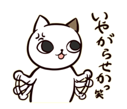 A Cynical Cat, Sayo sticker #13732392