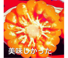 nostalgic and beauty photo sticker sticker #13732691