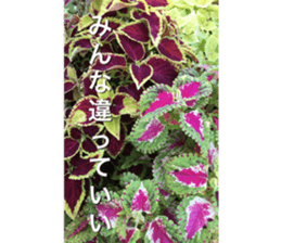 nostalgic and beauty photo sticker sticker #13732692