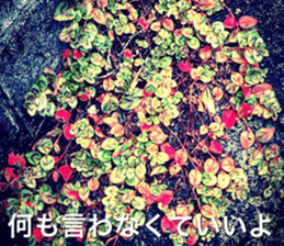 nostalgic and beauty photo sticker sticker #13732698