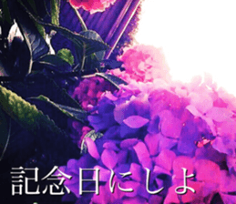 nostalgic and beauty photo sticker sticker #13732699