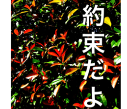 nostalgic and beauty photo sticker sticker #13732704