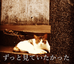 nostalgic and beauty photo sticker sticker #13732706