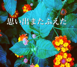 nostalgic and beauty photo sticker sticker #13732707