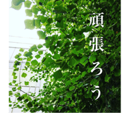 nostalgic and beauty photo sticker sticker #13732710