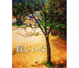 nostalgic and beauty photo sticker sticker #13732711