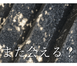 nostalgic and beauty photo sticker sticker #13732713