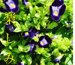 nostalgic and beauty photo sticker sticker #13732714