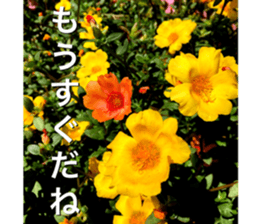 nostalgic and beauty photo sticker sticker #13732716