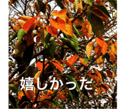 nostalgic and beauty photo sticker sticker #13732717