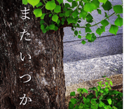 nostalgic and beauty photo sticker sticker #13732719