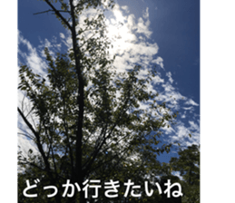 nostalgic and beauty photo sticker sticker #13732723