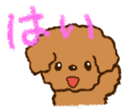 Crayon toy poodle sticker #13733502