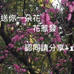 What a Wonderful Day _ Good morning